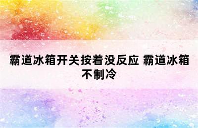 霸道冰箱开关按着没反应 霸道冰箱不制冷